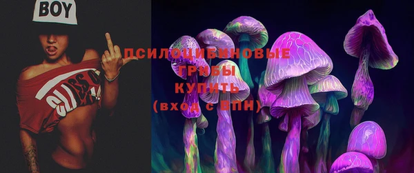 метамфетамин Каменка