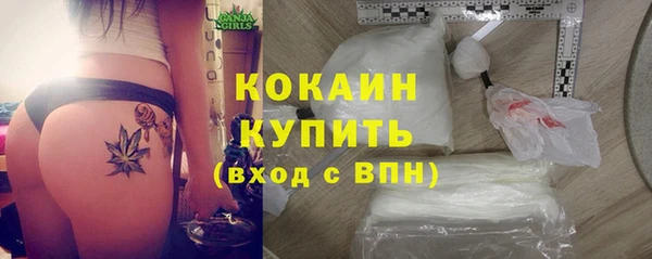 тгк Каменногорск