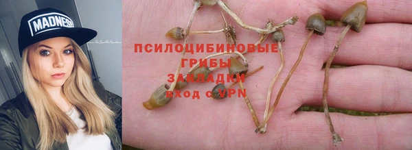 марки lsd Алапаевск