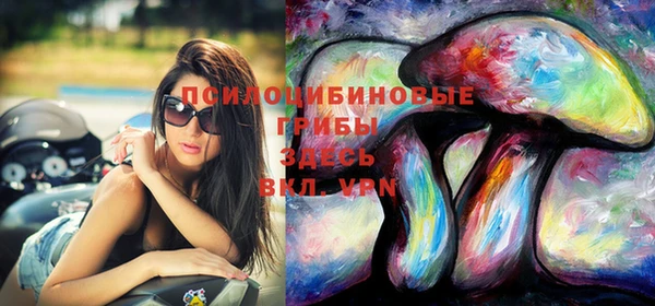 метамфетамин Каменка