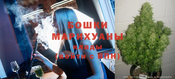 тгк Каменногорск