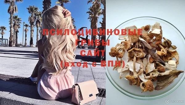метамфетамин Каменка