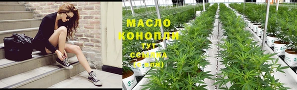 тгк Каменногорск