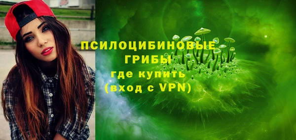 меф Инта