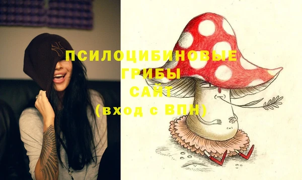 метамфетамин Каменка