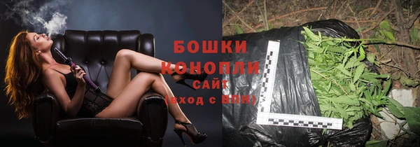 тгк Каменногорск