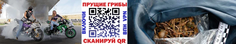 Галлюциногенные грибы мицелий  Владикавказ 